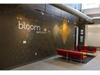 2 Beds - Bloom Apartments
