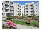 1 Bed - Camelot Apartment Homes