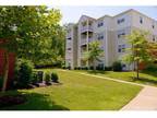 2 Beds - Wyndham Pointe Apartments