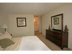 1 Bed - Park Avenue & Beverly Plaza Apartments
