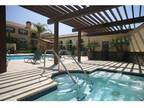 1 Bed - Sonoma at Porter Ranch