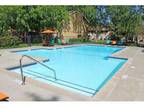 2 Beds - Pinecrest Apartments