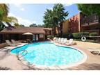 2 Beds - Shadow Ridge Apartments