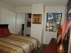 3 Beds - Colonia and Hacienda Del Rio Apartments