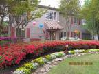 1 Bed - Mill Creek Apartments