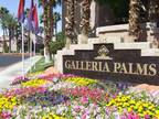 1 Bed - Galleria Palms Apartments