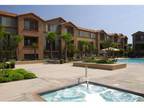 2 Beds - Paseo Villas Apts