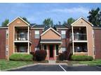 1 Bed - Timber Hollow Apts