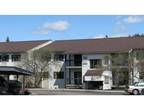 1 Bed - Pine Ridge Apartments