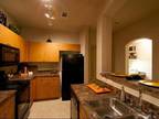 1 Bed - Rockwall Commons