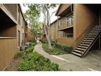 1 Bed - Westchase Ranch