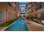 $2449 / 2br - 1168ft² - Celebrate Christmas in SoCo! Amazing 2 BR! Now $2449!
