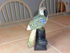 $215 Bird Carving-Exceptional Multicolor Macaw Parrot-Originally