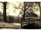 Amazing Ranch 77.5 acres - $500000 (SW GEORGIA)