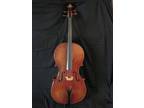 Full Size Cello Frank Denti -