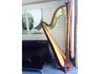 Salvi Pedal Harp -