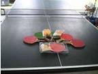 Ping Pong Table - $150 (Canyonville)