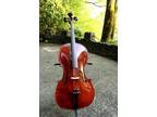 $995 Cello