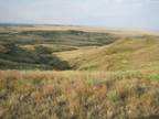 342 deeded and 100 BLM Prime Montana Hunting land AUCTION!!