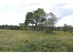 22.5 Acres of Great Land- We Finance ANY Credit Score!!