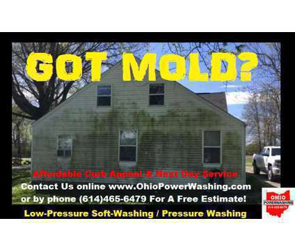 Low-Pressure Soap House Wash is a Exterior Home Cleaning service in Dublin OH
