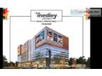 Ace Medley High Street Commercial shops Noida