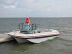 Evenrude Boat and Trailer -