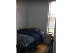 Chicago, huge 4 bed/2 bath remodeled apartment near uic