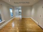 Updated and Spacious 2 Bed 1 Bath in Boston