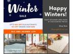 Shop Area Rugs for Your Home in Winter Sale