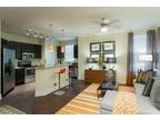 1br - Wow! Glamorous look and GREAT PRICE! 512-257-RENT