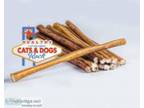 STOP YOUR DOG rsquoS CHEWING HABIT WITH BULLY STICKS