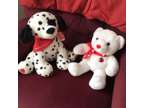 Dalmation Dog & Teddy Bear