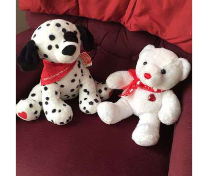 Dalmation Dog &amp; Teddy Bear is a Everything Else for Sale in Wescosville PA
