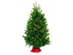 Buy Fresh Cut Fraser Fir Table Top Christmas Tree - - quot I