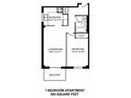 Dorchester Apartments - 1 Bed 1 Bath A