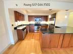 Large and Updated 2 Bed 2 Bath in Brookline- Washington Square