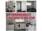 FOR RENT: Newly Renovated, Spacious 1 Bed/1 Bath Apartment