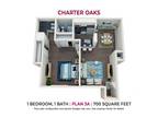 Charter Oaks Apartments - One Bedroom Plan 3A