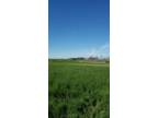 20 Acres + Rural Redvers South East, Saskatchewan
