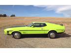 1971 Ford Mustang 1971 Ford Mustang Mach 1