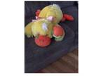 Giant Duckling Plush Toy