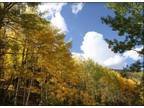 Middle Fork Resort | Colorado Cabin Rentals | Cabins Stonewall CO