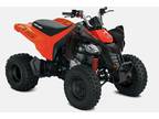 2022 Can-Am DS 250 ATV for Sale