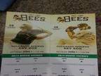 Two Suite Tickets to Salt Lake Bees Game June 1st