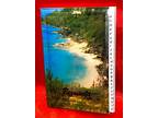 Bermuda Souvenir Address Book - Beautiful Beach