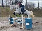 Safe Competitive Eventing Packer