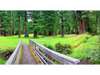 Land for Sale by owner in Willits, CA