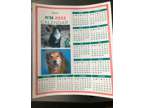 PETA - 2022 - Calendar Card - 12-Months - 10" Tall x 8.5"