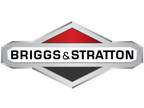 (1) OEM Briggs and Stratton Pressure Washer Pump 705837